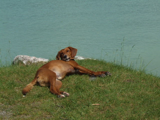 files/behle/bilder/fotos 43013.JPG